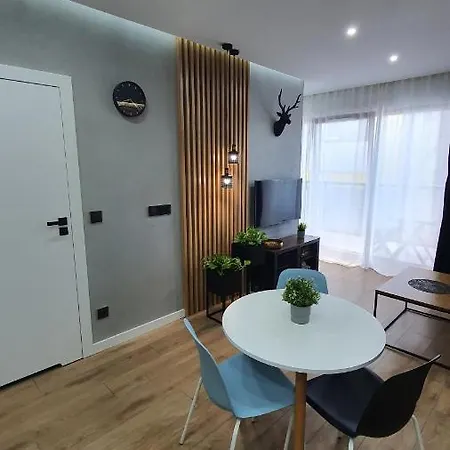 Midnight Blue Breslavia