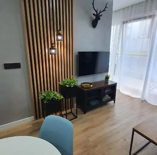 Midnight Blue Wrocław