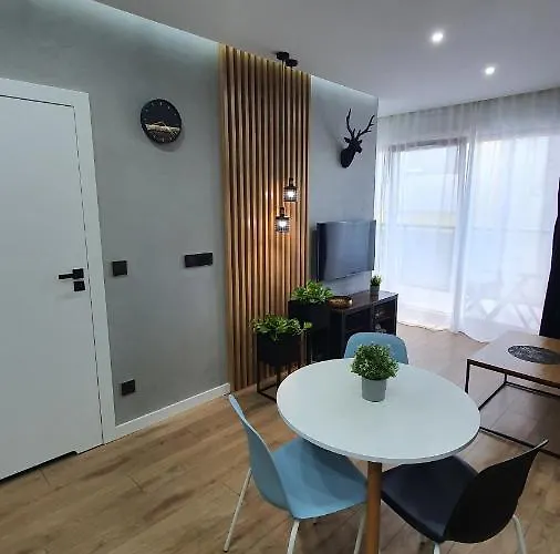 Midnight Blue Wrocław